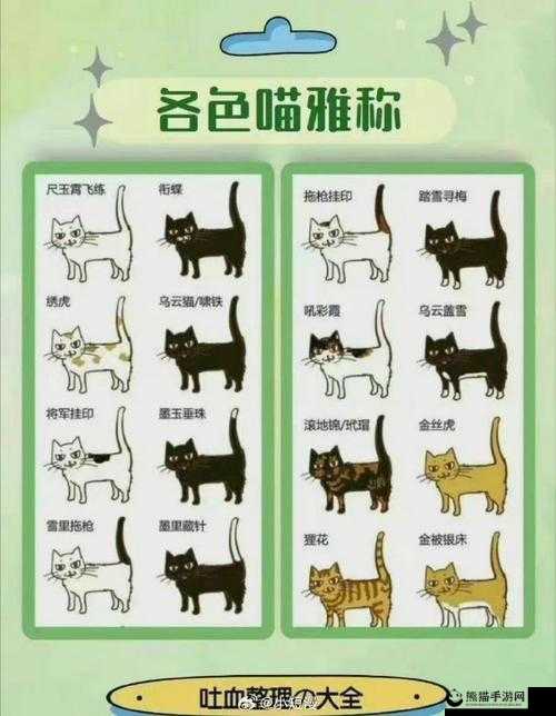 2025年春节前夕，猫咪田园邀您共探猫咪种类的奇妙世界